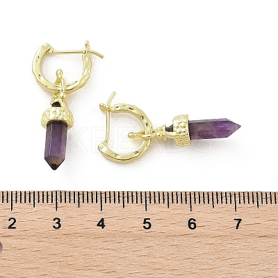 Natural Amethyst Hoop Earrings EJEW-P306-01G-10-1