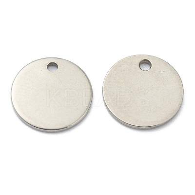 Tarnish Resistant 304 Stainless Steel Charms LS-STAS-H157-05P-1