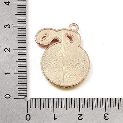 Alloy with Enamel Pendants AL-CBA9E11-02KCG-04-1