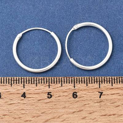 Brass Hoop Earrings EJEW-G474-01S-03-1
