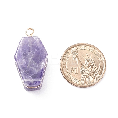 Natural Gemstone Pendants PALLOY-JF01403-1