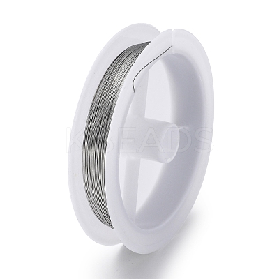 Non-Tarnish 10 Rolls 304 Stainless Steel Wire TWIR-H001-01A-P-1