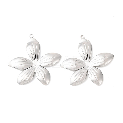304 Stainless Steel Pendants STAS-A133-02C-P-1