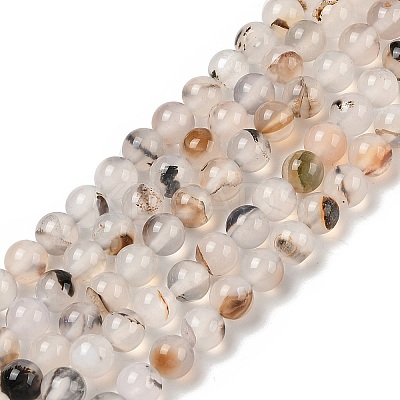 Natural Dendritic Agate Beads Strands G-A248-A07-01-1