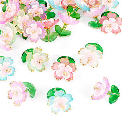30Pcs 5 Colors Transparent Acrylic Pendants PALLOY-TA00303-1