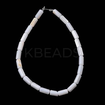 Natural Freshwater Shell Beads Strands SH-CBA2978-21B-1