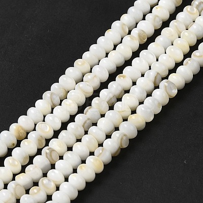 Natural Freshwater Shell Beads Strands BSHE-E026-15A-01-1