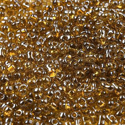 Glass Seed Beads SEED-K009-10B-02-1