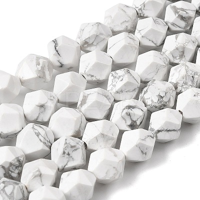 Natural Howlite Beads Strands G-Z119-A43-02-1