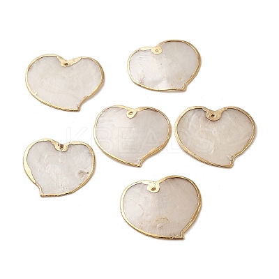 Natural Capiz Shell Pendants SSHEL-H071-02G-01-1