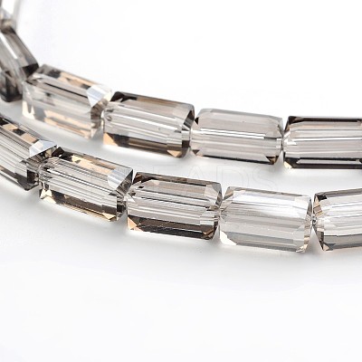 Pearl Luster Plated Faceted Cuboid Electroplate Glass Beads Strands EGLA-F109-D08-1