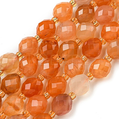 Natural Orange Botswana Agate Beads Strands G-N342-40-1
