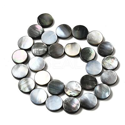 Natural Black Lip Shell Beads Strands BSHE-D300-05-14mm-1