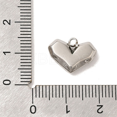 304 Stainless Steel Charms STAS-S131-06P-1