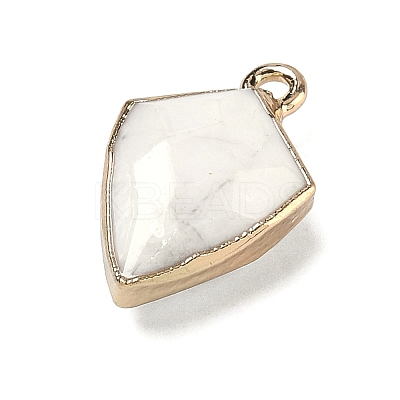 Natural Howlite Pendants G-K422-01G-09-1