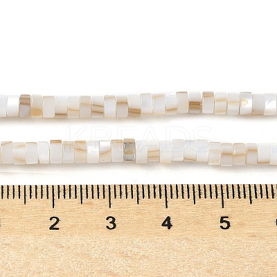 Natural Freshwater Shell Beads Strands X-SSHEL-C013-04A-1