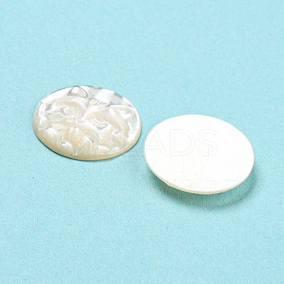 Natural Sea Shell Cabochons SHEL-D079-23-1