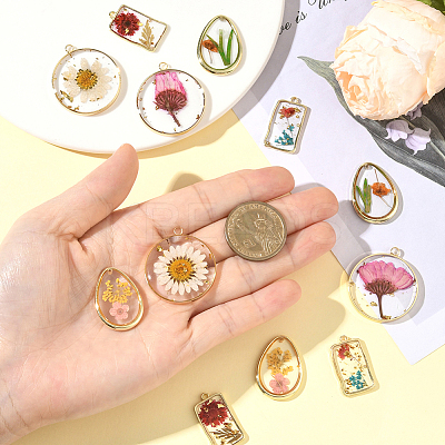 12Pcs 6 Styles Transparent Clear Epoxy Resin Pendants RESI-SC0036-60B-1