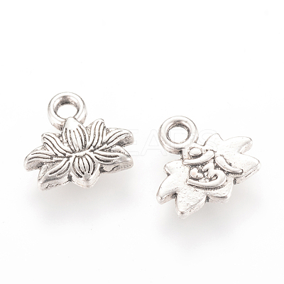 Tibetan Style Alloy Charms X-TIBEP-Q064-10AS-RS-1