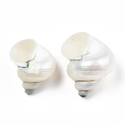 Natural Spiral Shell Beads X-SSHEL-N034-126-1