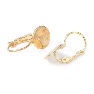 304 Stainless Steel Leverback Earring Findings KK-H152-08A-G-1