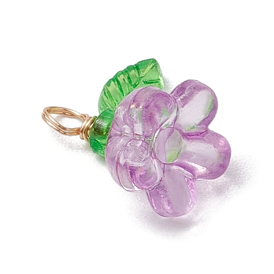 Acrylic Charms PALLOY-JF03079-1