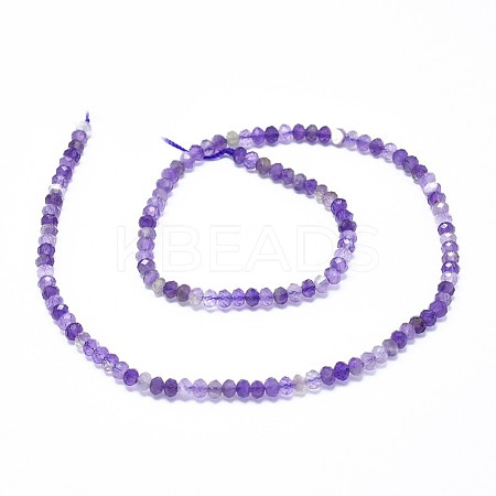 Natural Amethyst Beads Strands G-F632-22B-1