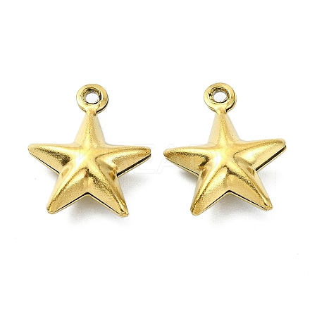 Ion Plating(IP) 304 Stainless Steel Charms STAS-L024-012G-1
