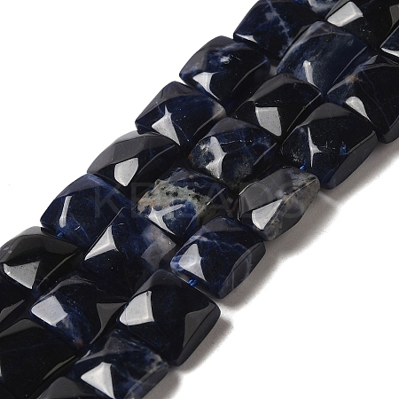 Natural Sodalite Beads Strands G-C109-A08-01-1