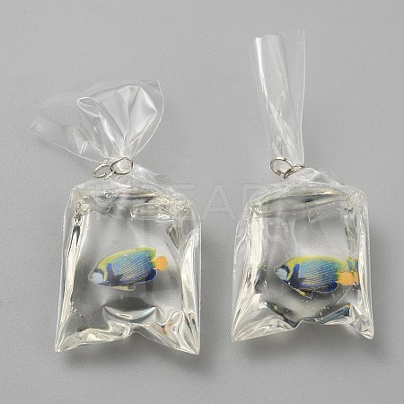 Transparent Resin Big Pendants RESI-TAC0024-01G-1