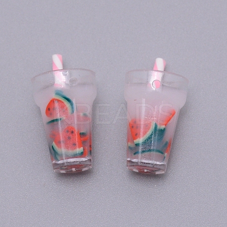 Plastic Resin Pendants KY-TAC0008-01E-1