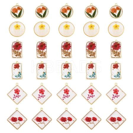 12Pcs 6 Styles Transparent Clear Epoxy Resin Pendants RESI-FS0001-88A-1