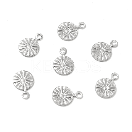 304 Stainless Steel Charms STAS-P319-30P-02-1
