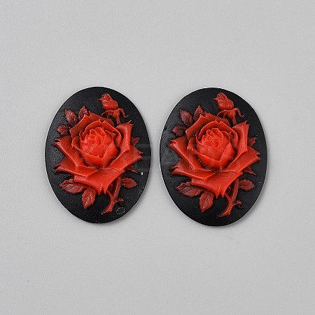 Resin Cabochons LS-CRES-WH0018-02D-1