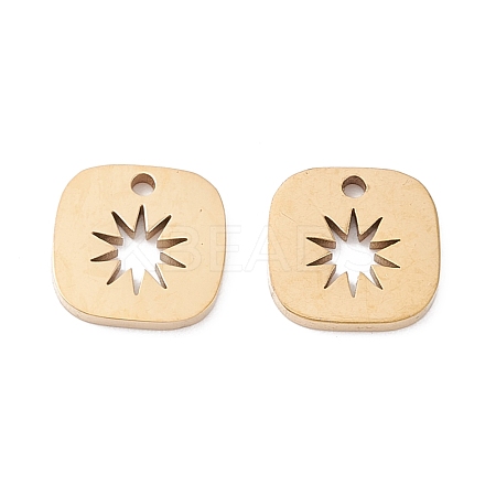 Ion Plating(IP) 316 Surgical Stainless Steel Charms STAS-H163-20G-1