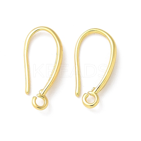 Brass Earring Hooks X-KK-A236-13G-1
