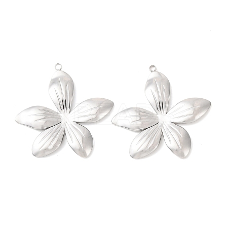 304 Stainless Steel Pendants STAS-A133-02C-P-1