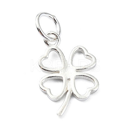 925 Sterling Silver Charms STER-M119-12S-1