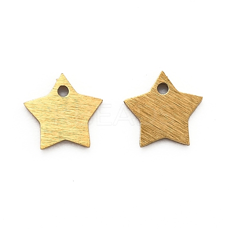 Ion Plating(IP) 304 Stainless Steel Pendants STAS-O133-03H-G-1
