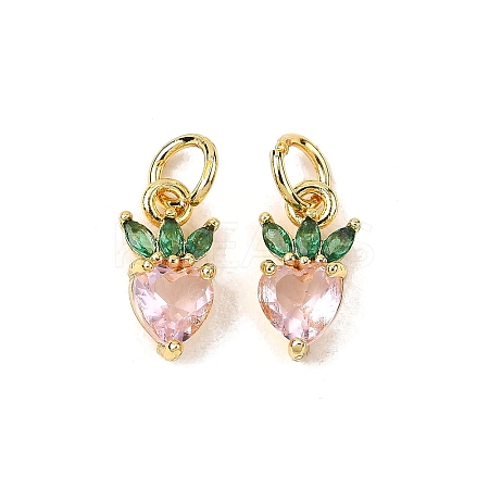 Brass Micro Pave Cubic Zirconia Charms ZIRC-H119-06G-02-1