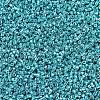MIYUKI Delica Beads SEED-JP0008-DB0427-3