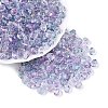 Transparent Glass Seed Beads SEED-N014-01A-03-1