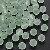 Transparent Acrylic Beads LS-MACR-S373-66-M02-1