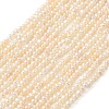 Natural Cultured Freshwater Pearl Beads Strands PEAR-L034-13C-2