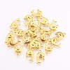 Tibetan Style Alloy Pendants GLF1389Y-NF-2