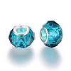 Handmade Glass European Beads X-GPDL25Y-77-2