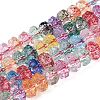 Crackle Transparent Glass Beads Strands GLAA-N068-03A-M-1