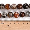 Natural Fire Crackle Agate Beads Strands G-L595-A02-01F-5