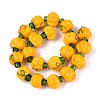 Handmade Lampwork Beads Strands LAMP-T022-16-1