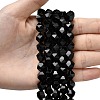 Natural Black Onyx  Beads Strands G-Z119-A04-03-2